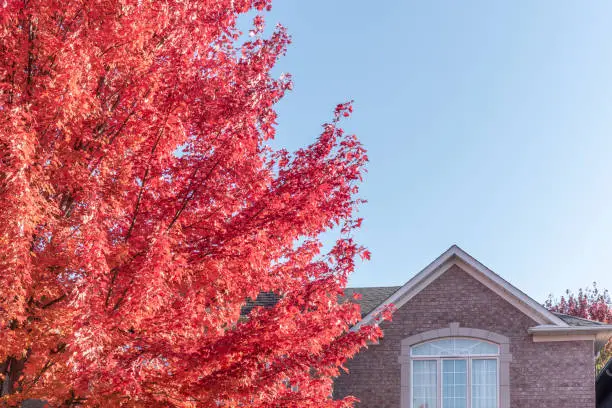 Fall Roof Inspections in Markham: Why They Matter